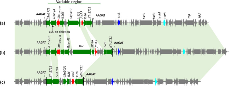 FIG 6