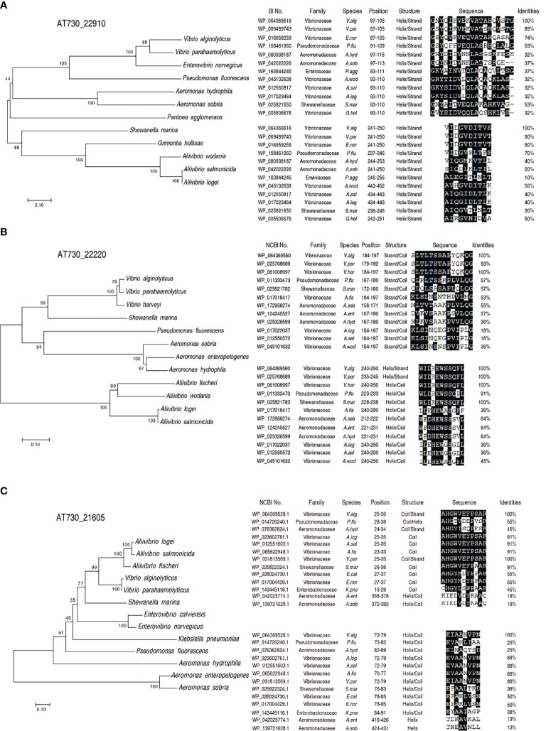 Figure 4