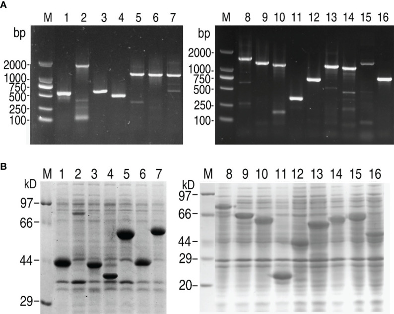 Figure 1