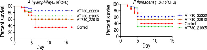 Figure 3