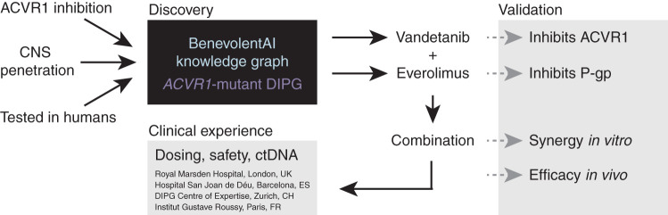 Figure 1. Schema for AI-based identification of a repurposed drug combination strategy for ACVR1-mutant DIPG. The BenevolentAI knowledge graph was employed to identify approved drugs with potential potency against ACVR1 and sufficient CNS penetration to be a rational therapy for children with DIPG. Vandetanib and everolimus were validated to inhibit ACVR1 and P-gp, respectively, and the combination was found to be synergistic in vitro and prolong survival in vivo, leading to the clinical use of this combination in four expert pediatric neuro-oncology centers in Europe. ctDNA, circulating tumor DNA.