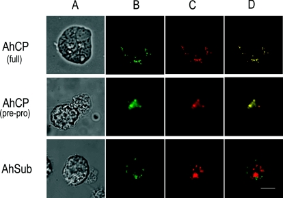 FIG. 6.