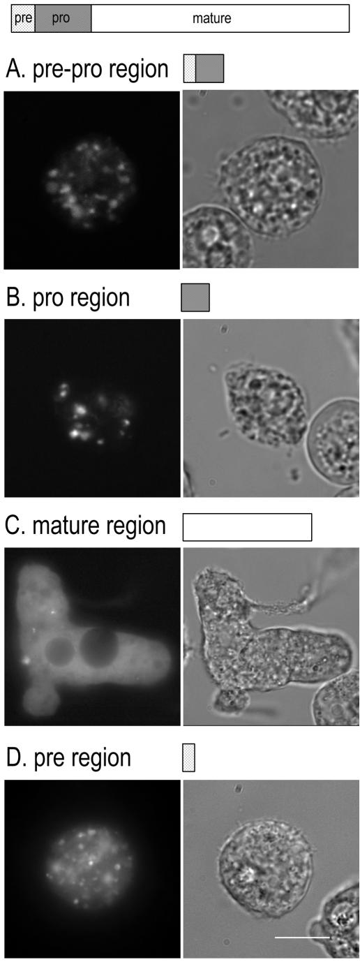 FIG. 7.