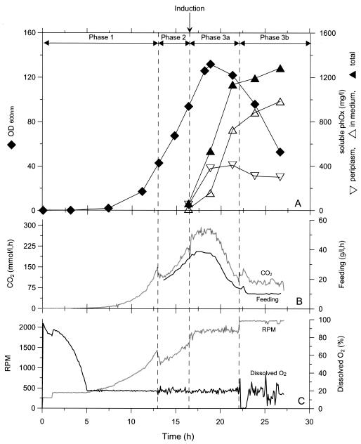 FIG. 4.