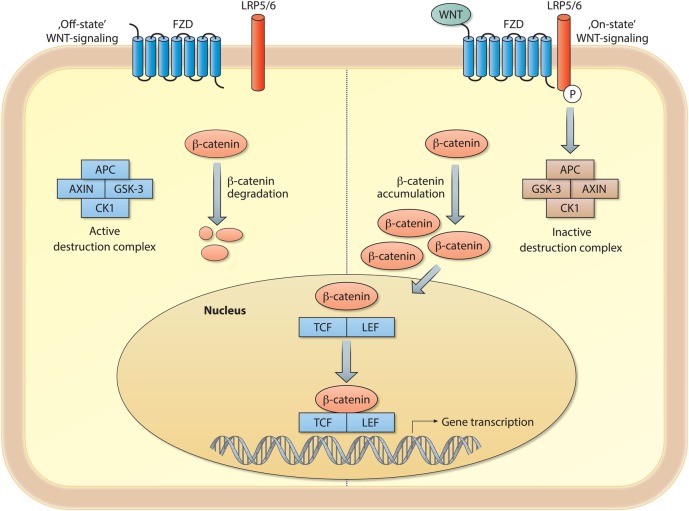 Figure 1