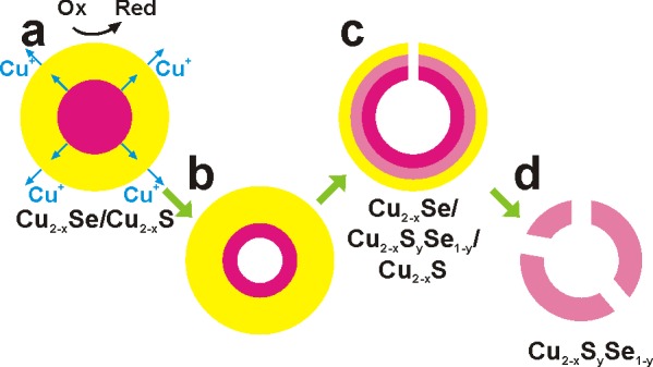 Scheme 1