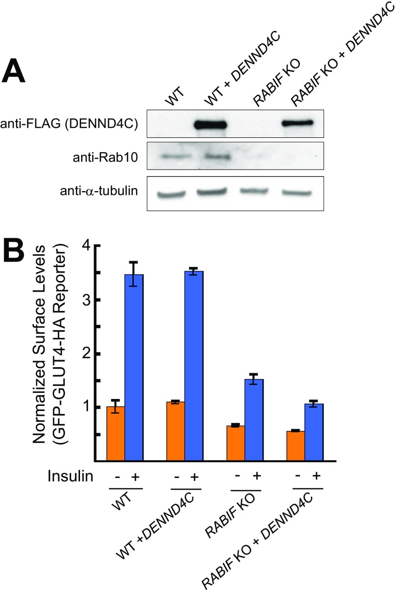 Fig. S4.