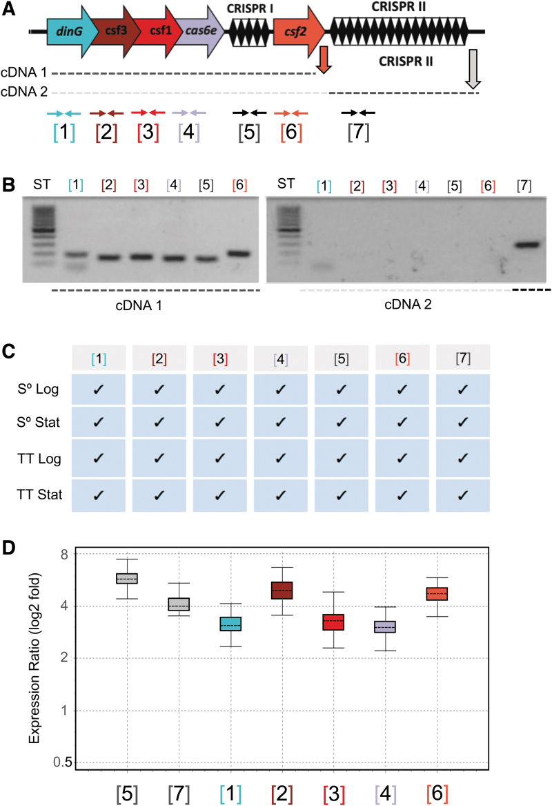 FIG. 4.