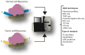 Graphical Abstract