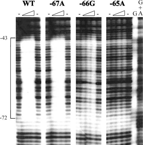 FIG. 4.