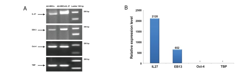 Fig 5