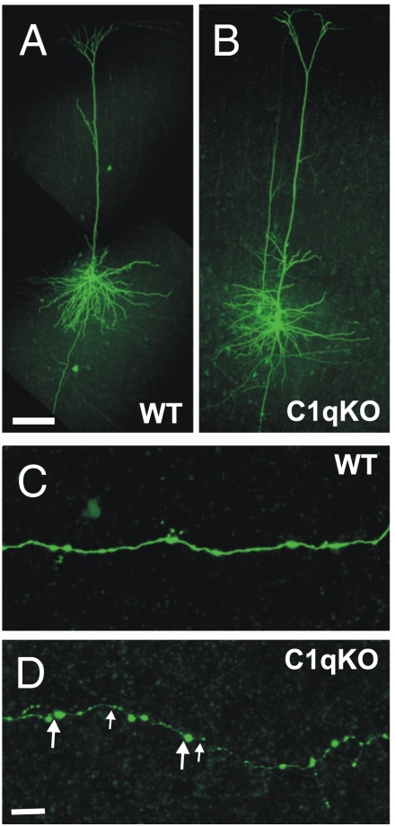 Fig. 3.