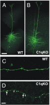 Fig. 3.