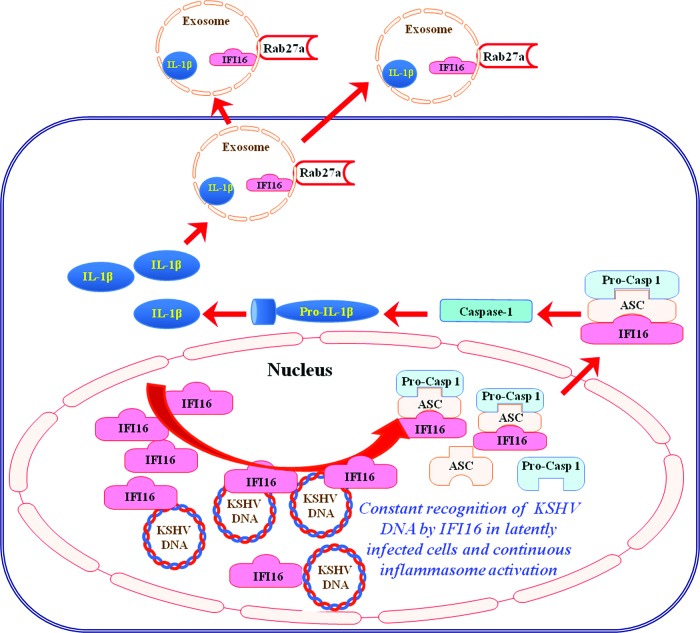 Fig 12