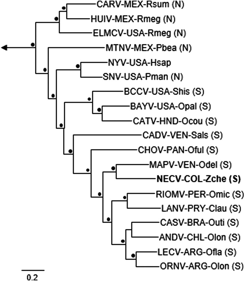 FIG. 2.