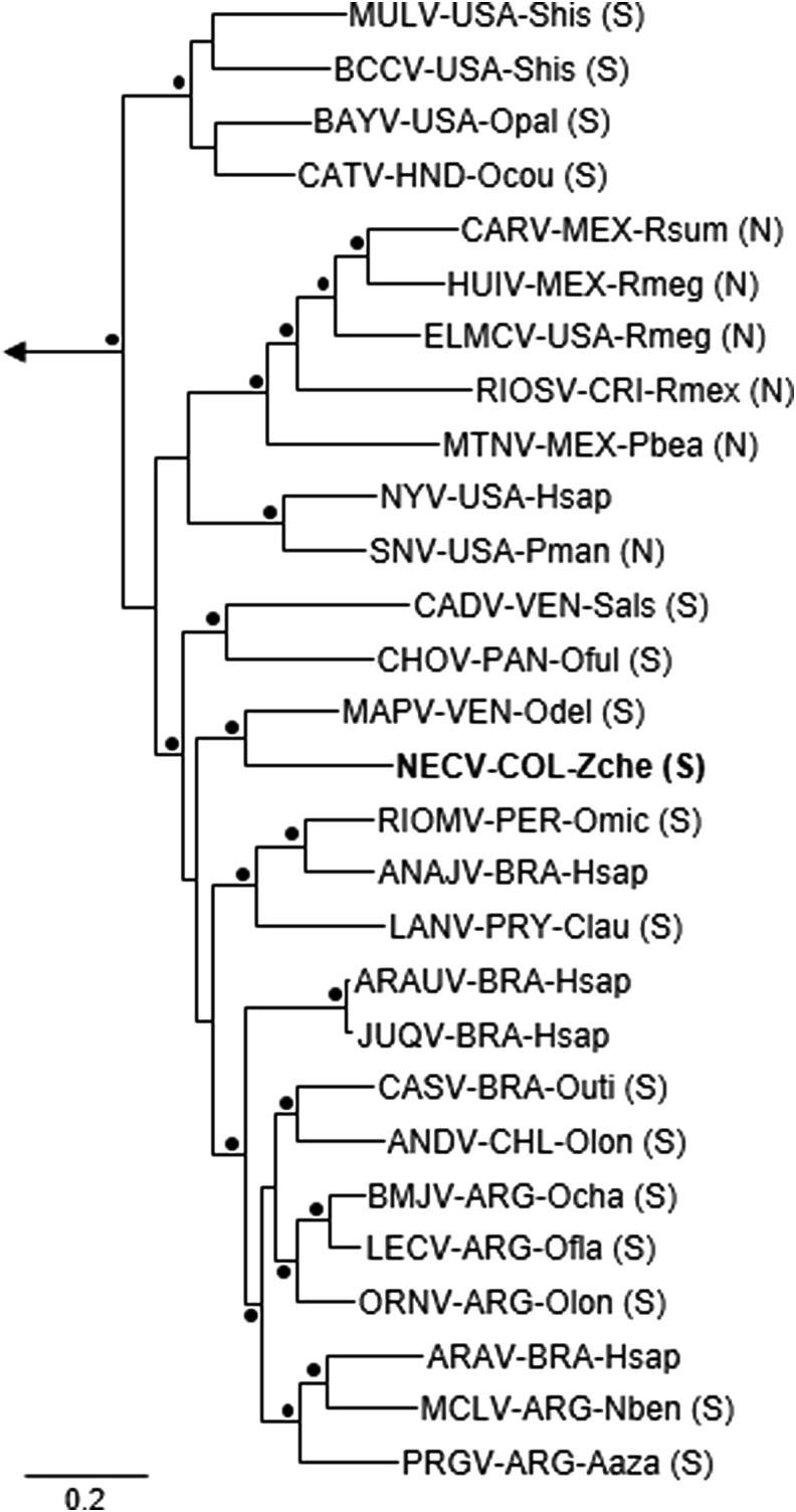 FIG. 1.