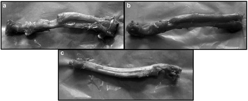 Figure 23.