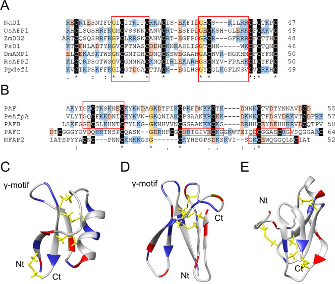 Fig. 1