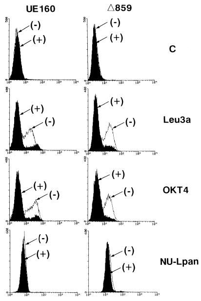 FIG. 6