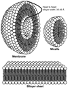 Figure 4.2