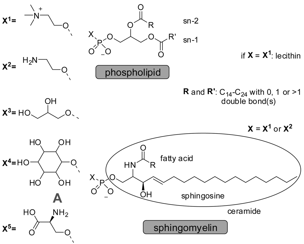 Figure 4.1