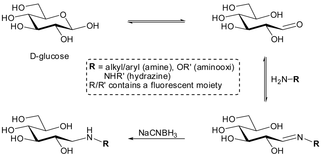 Figure 3.3