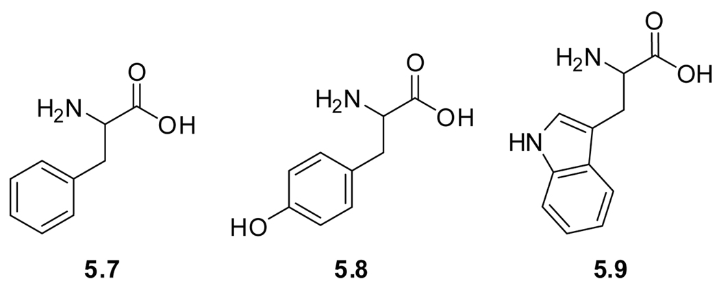 Figure 5.2