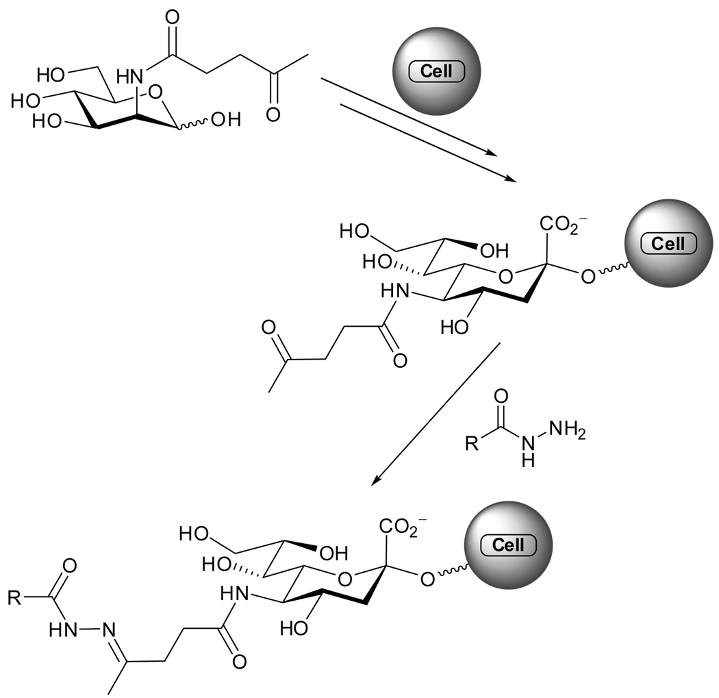 Figure 3.4