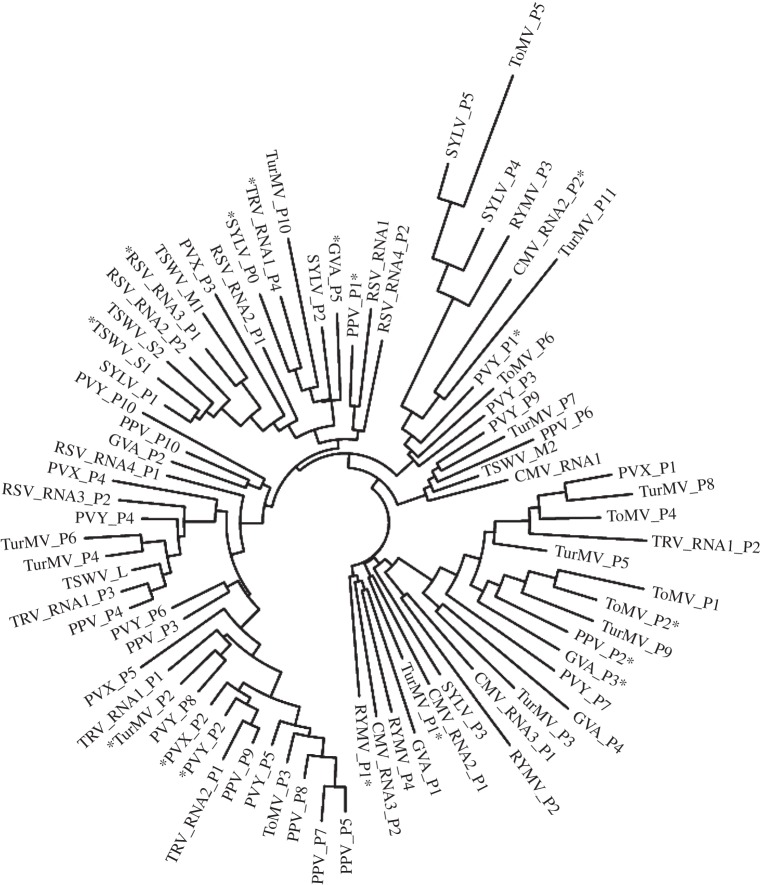 Figure 3.