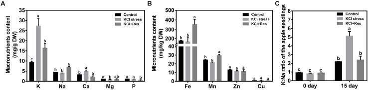 FIGURE 5