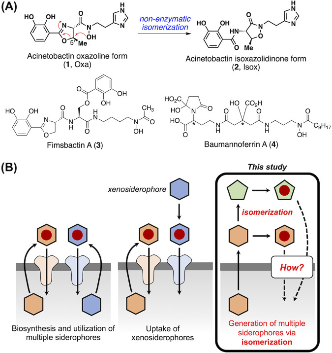 FIG 1