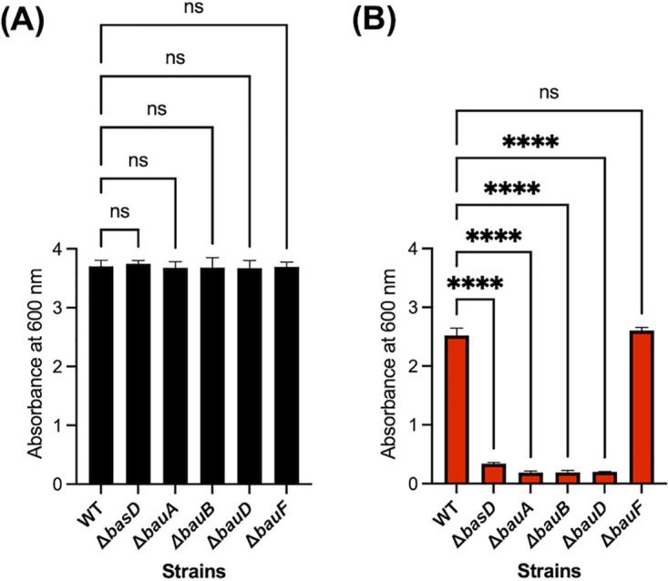 FIG 2