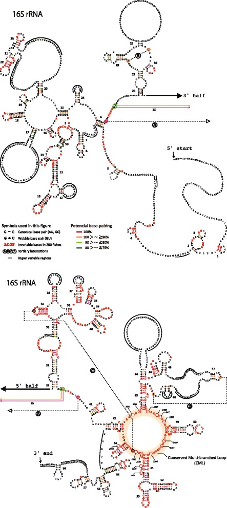 Fig. 7