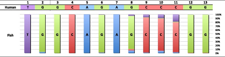 Fig. 5