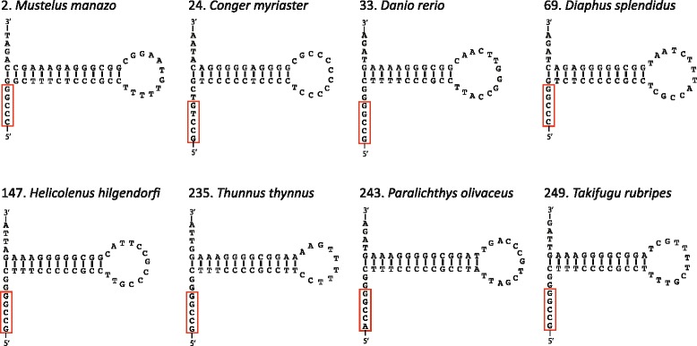 Fig. 9