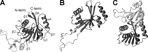 FIGURE 7.