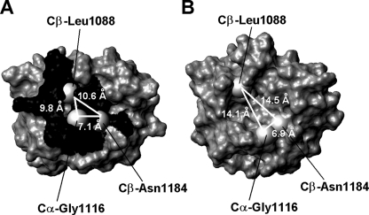 FIGURE 4.