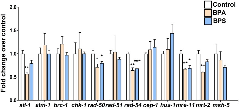 Fig 5