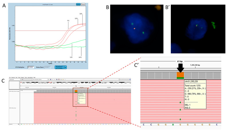 Figure 1