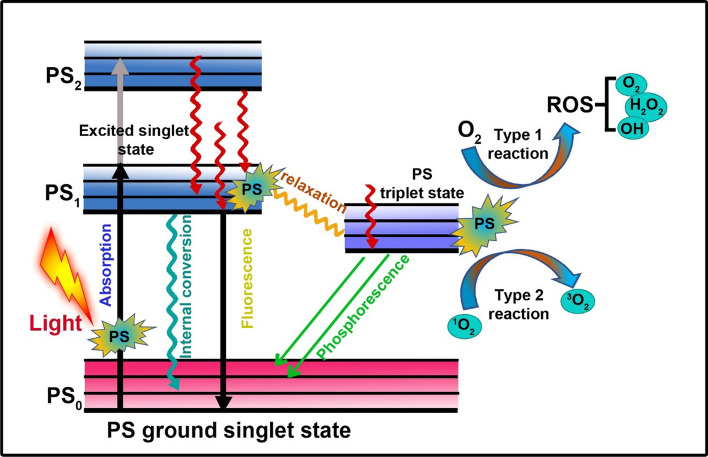 Fig. 2