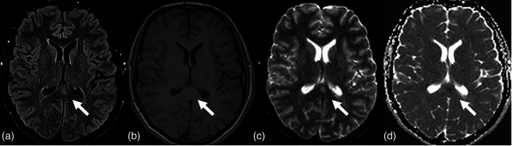 Fig. 5.