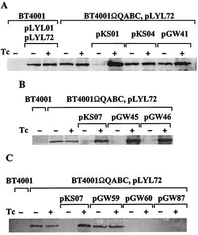 FIG. 4.