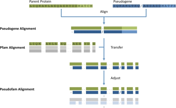 Figure 2.