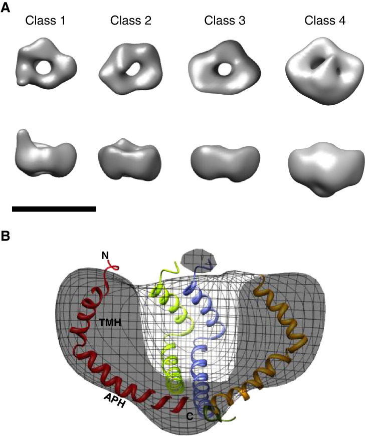 Fig. 4