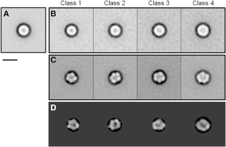 Fig. 3