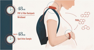 Graphical abstract