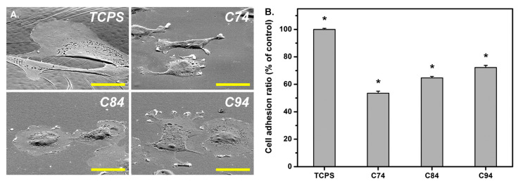 Figure 21