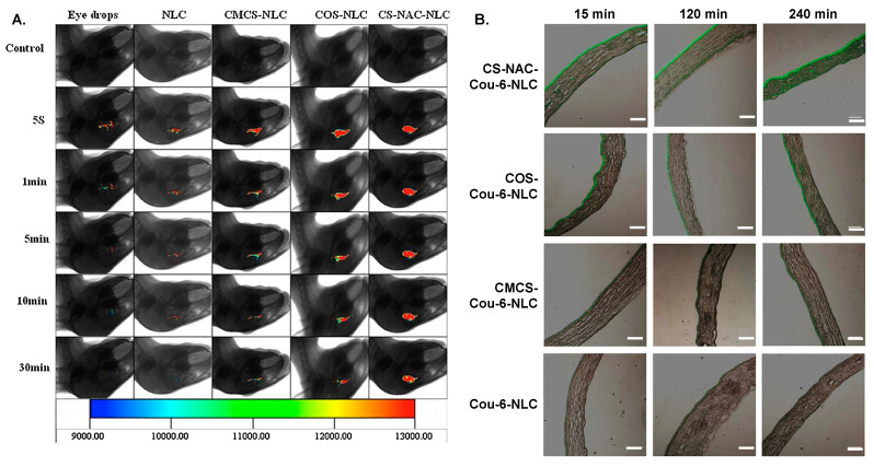 Figure 22