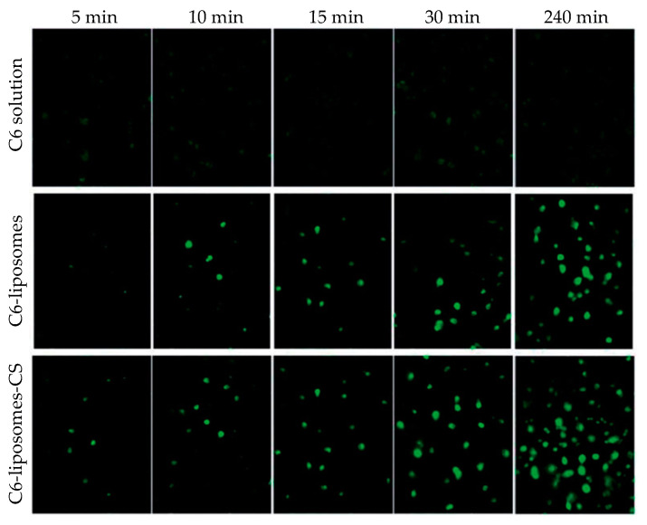 Figure 20