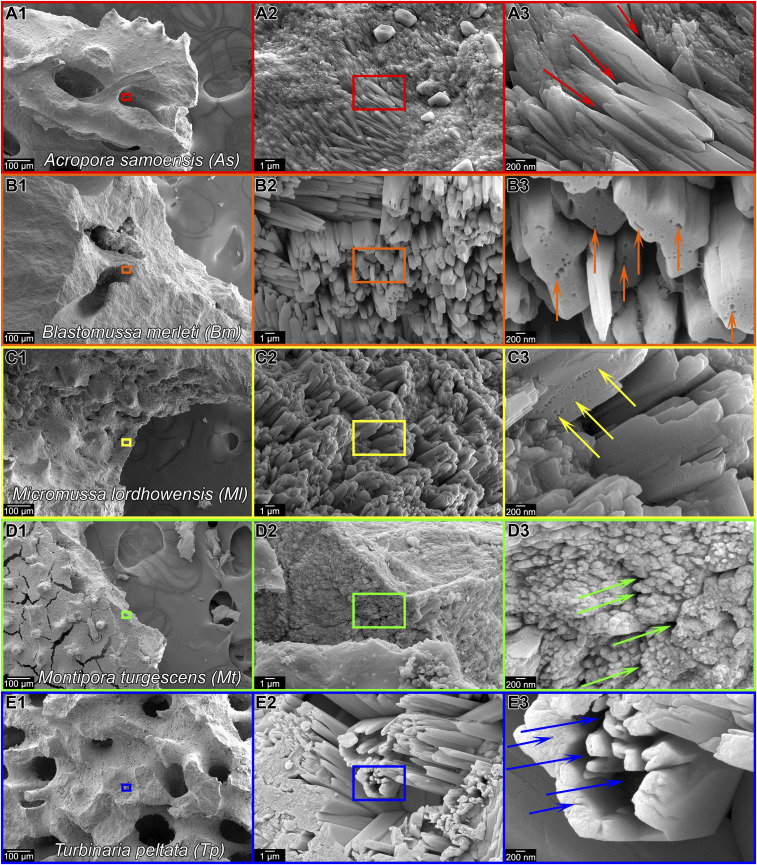 Fig. 5.